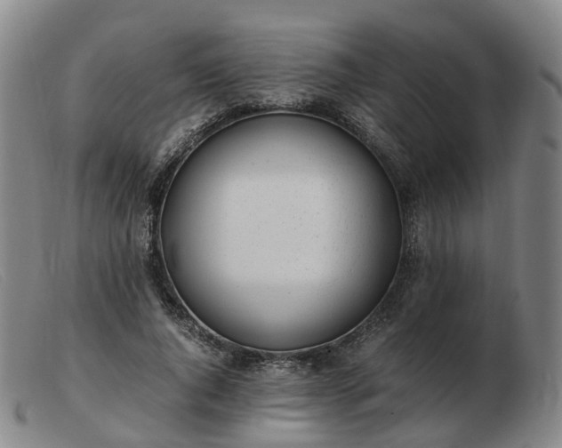 X0000103430736200809191700