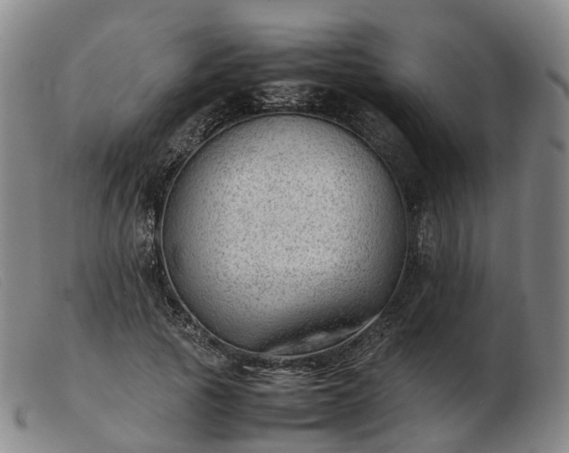 X0000103430737200809191700