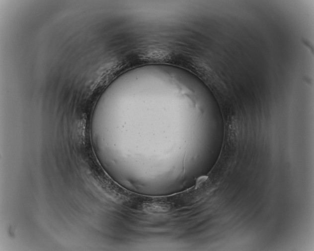 X0000103430739200809191700
