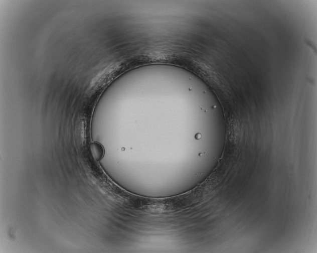 X0000103430740200809191700