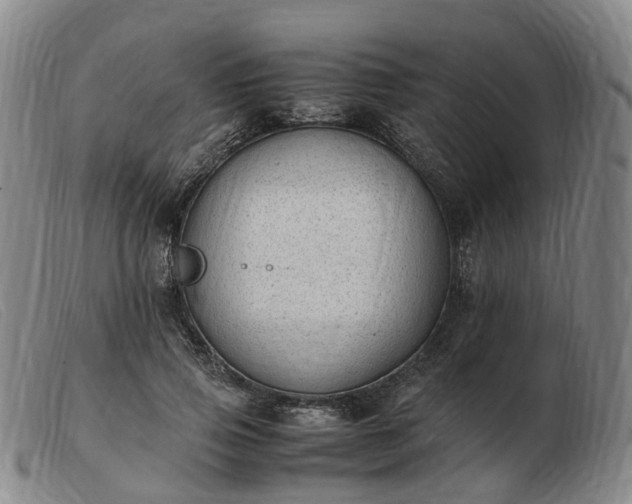X0000103430741200809191700
