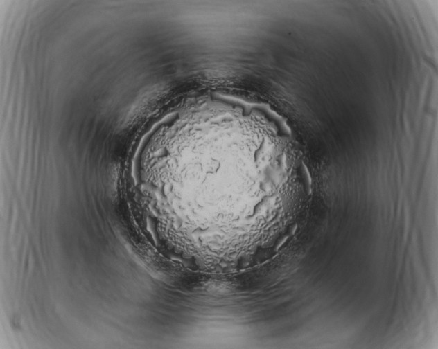 X0000103430742200809191700