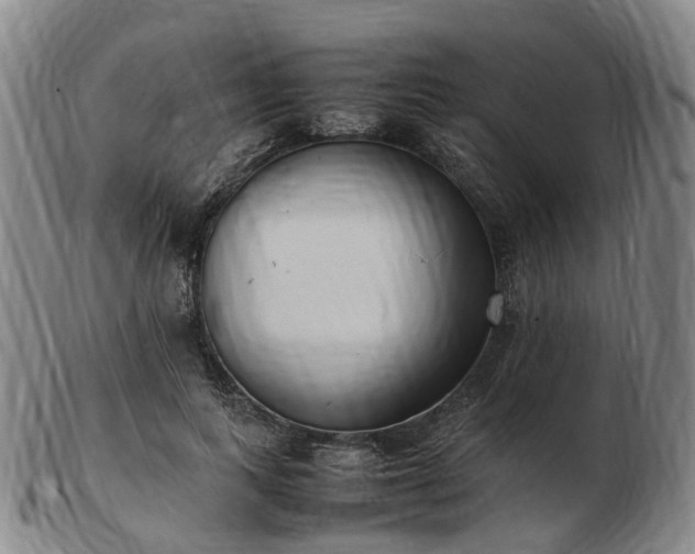 X0000103430743200809191700