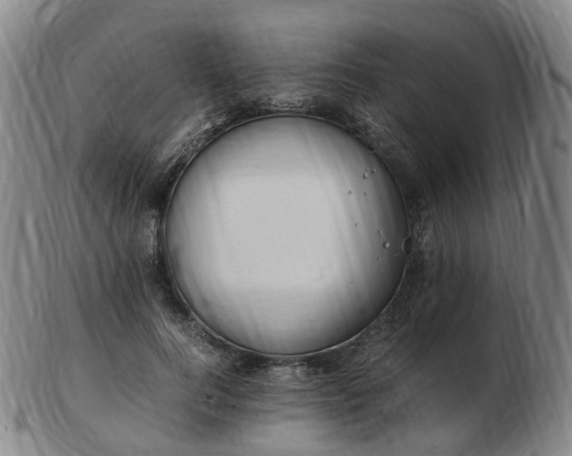 X0000103430744200809191700