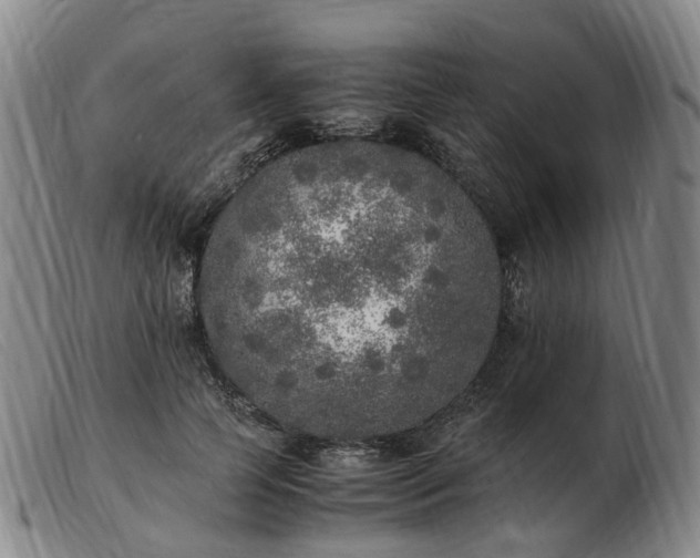 X0000103430745200809191700