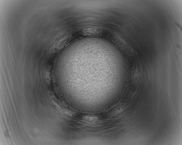X0000103430749200809191700