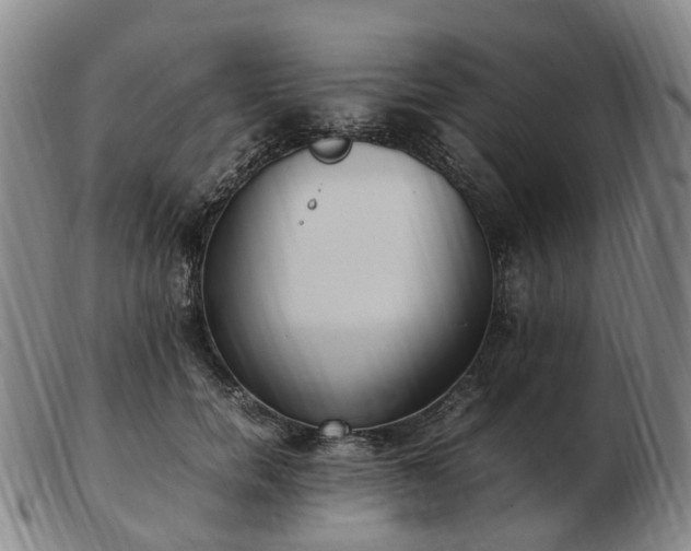 X0000103430750200809191700