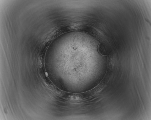 X0000103430751200809191700
