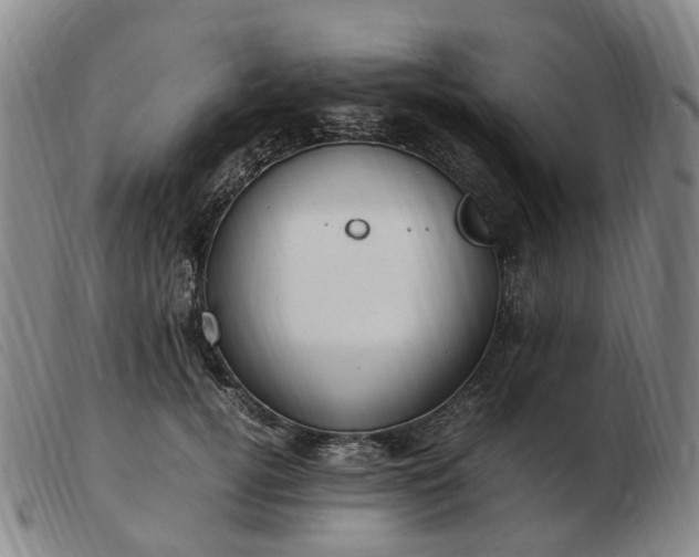 X0000103430752200809191700