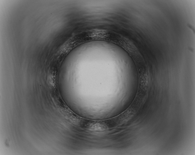 X0000103430755200809191700