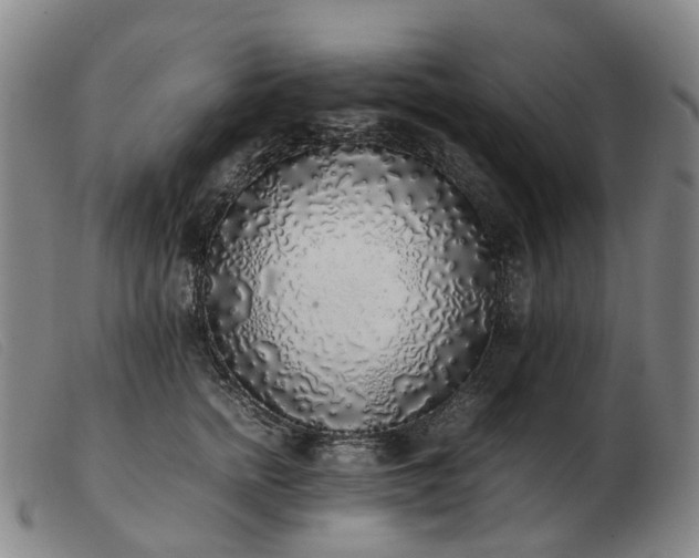 X0000103430758200809191700