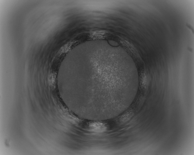 X0000103430759200809191700