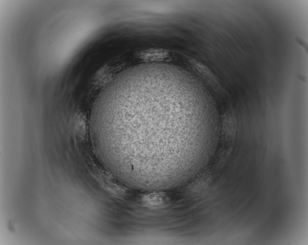 X0000103430761200809191700