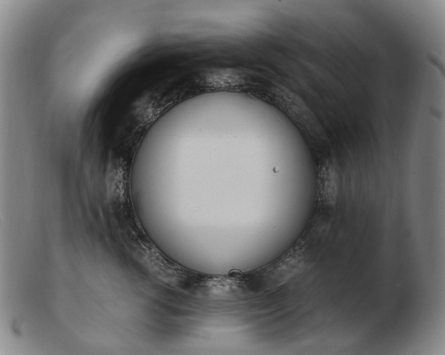 X0000103430762200809191700