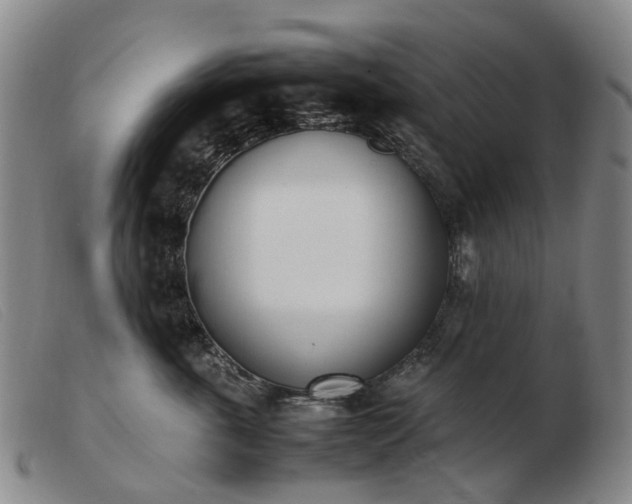 X0000103430763200809191700