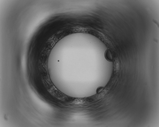 X0000103430764200809191701