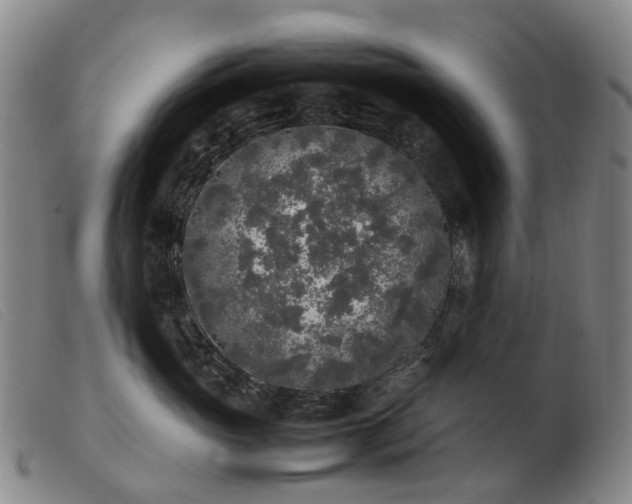 X0000103430765200809191701