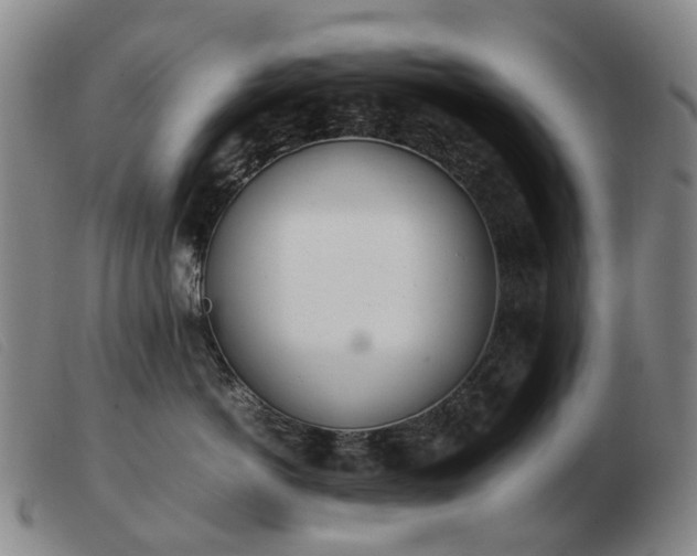 X0000103430766200809191701