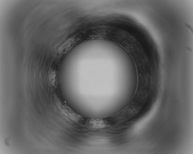 X0000103430767200809191701