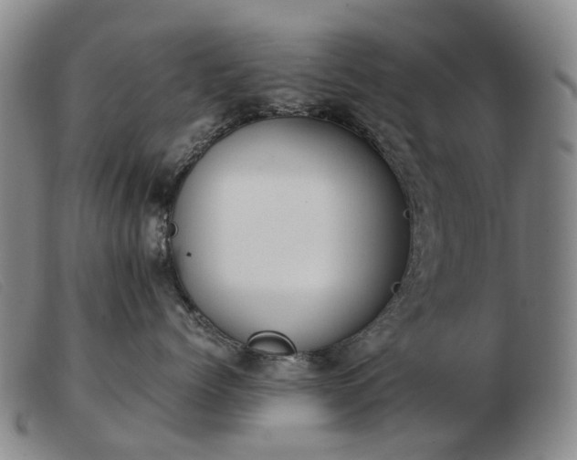 X0000103430768200809191701