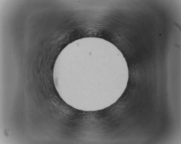 X0000103430769200809191700