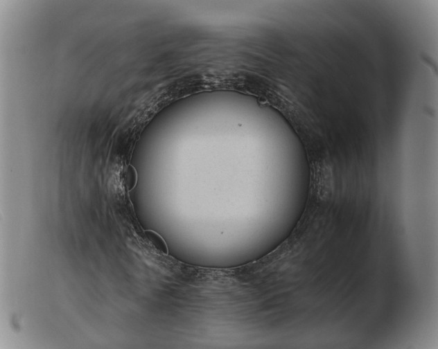X0000103430770200809191700