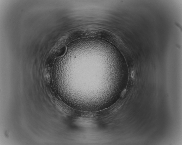 X0000103430771200809191700