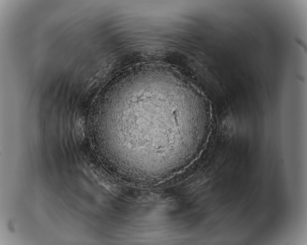 X0000103430772200809191700