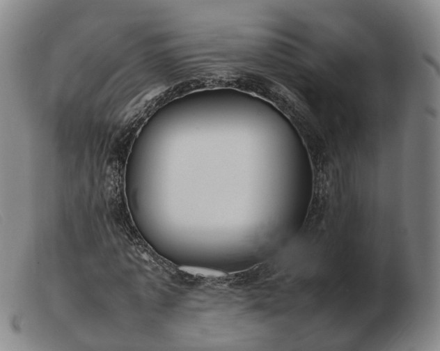 X0000103430773200809191700