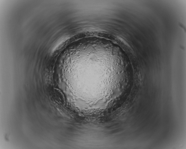 X0000103430775200809191700