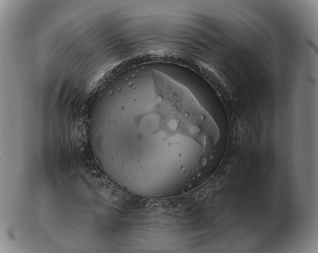 X0000103430776200809191700