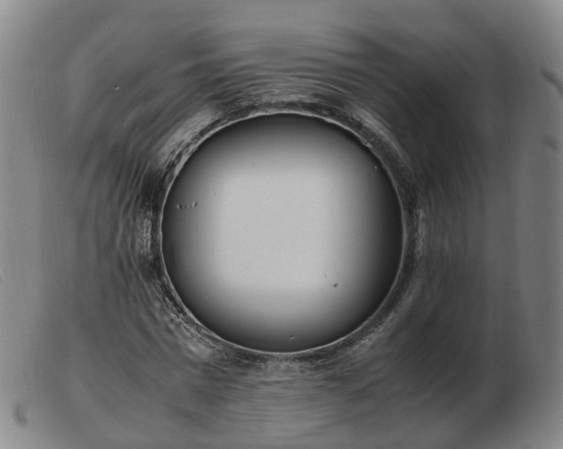 X0000103430777200809191700