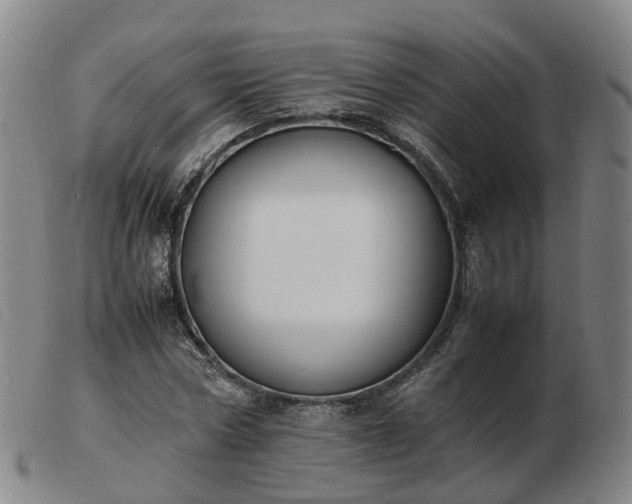 X0000103430778200809191700