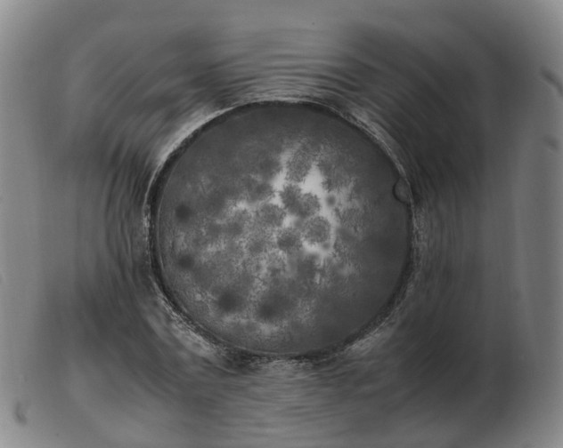 X0000103430779200809191700
