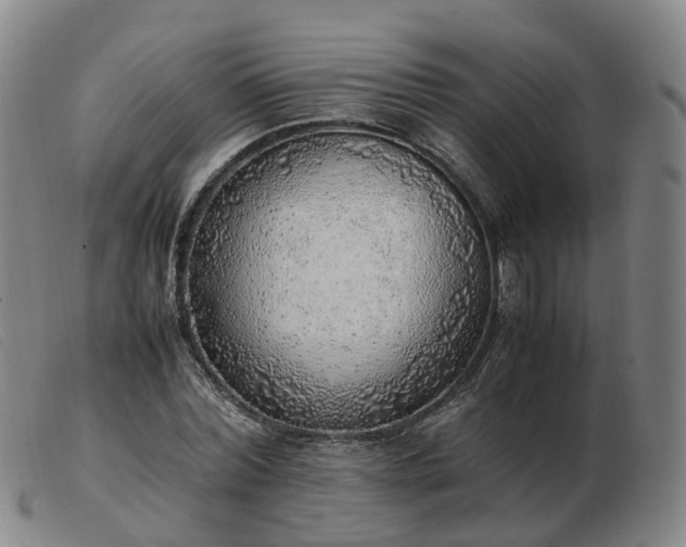 X0000103430780200809191700