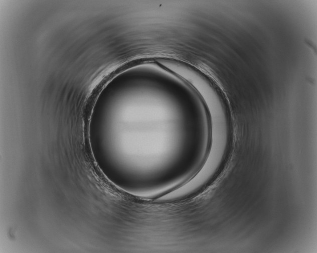 X0000103430781200809191700