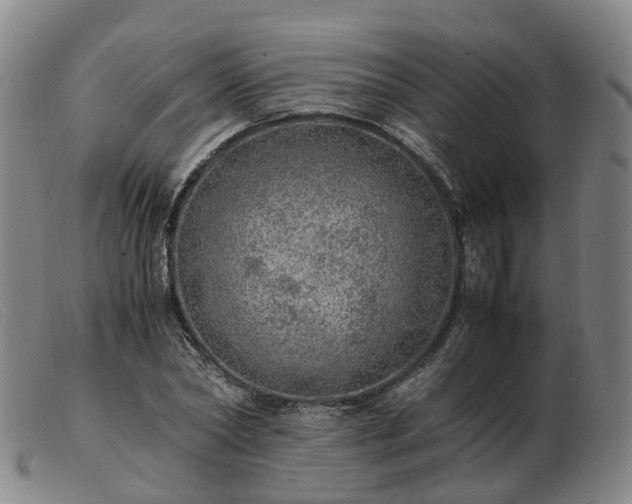 X0000103430782200809191700