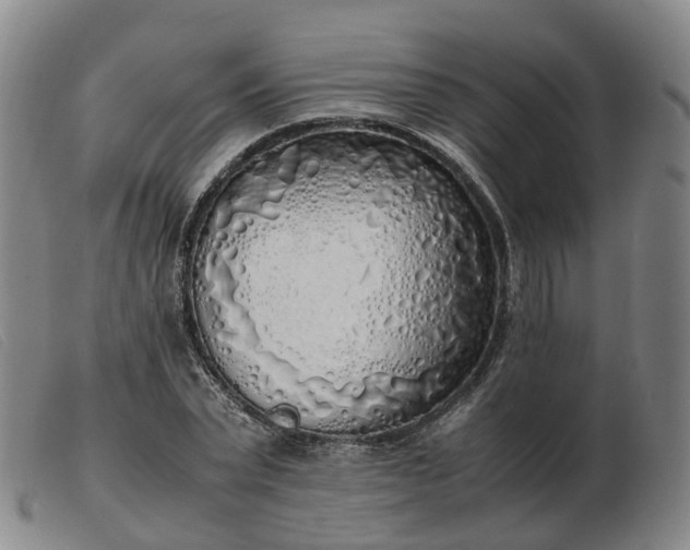 X0000103430783200809191700