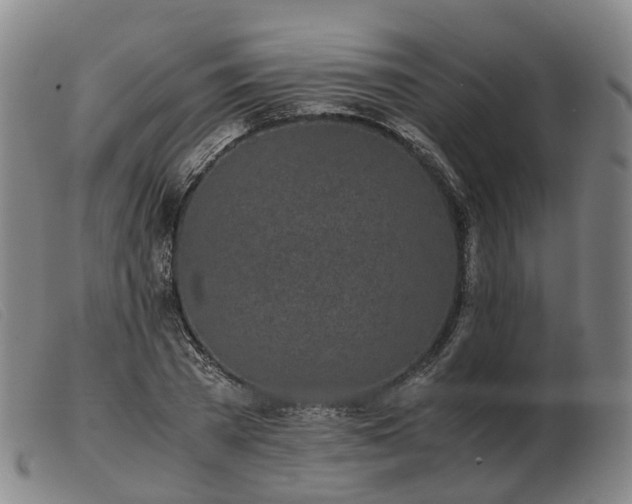 X0000103430785200809191700