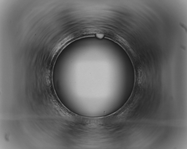 X0000103430786200809191700