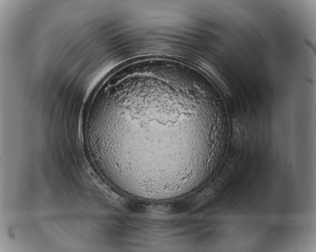 X0000103430788200809191700