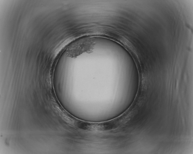 X0000103430789200809191700