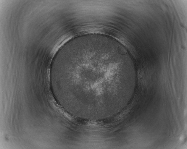 X0000103430790200809191700