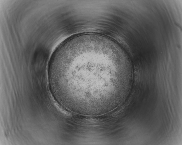 X0000103430792200809191700