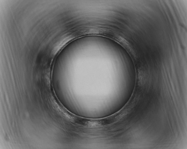 X0000103430794200809191659