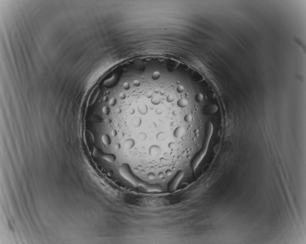 X0000103430795200809191659