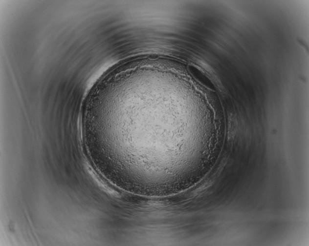 X0000103430796200809191659