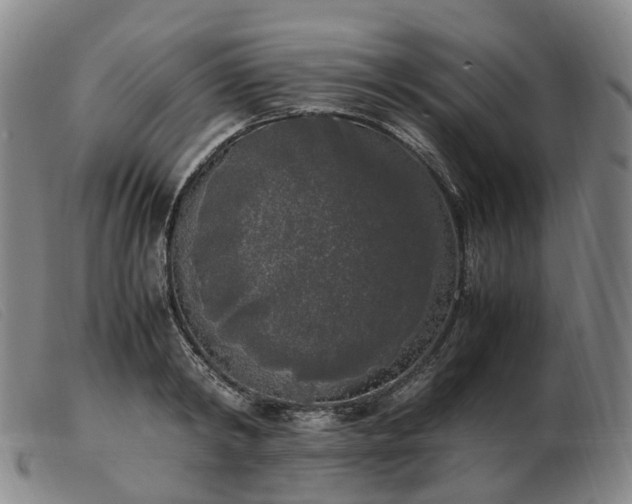X0000103430798200809191659