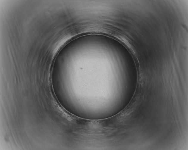 X0000103430799200809191659