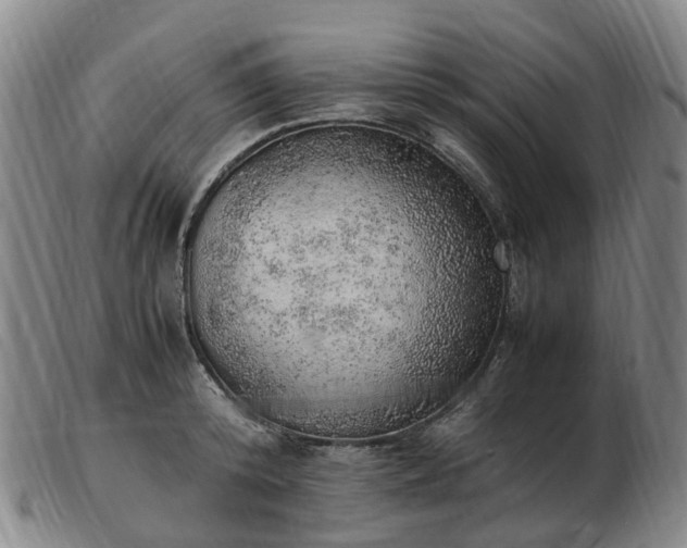 X0000103430800200809191659
